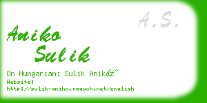 aniko sulik business card